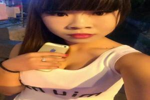 小飞象动画百度云